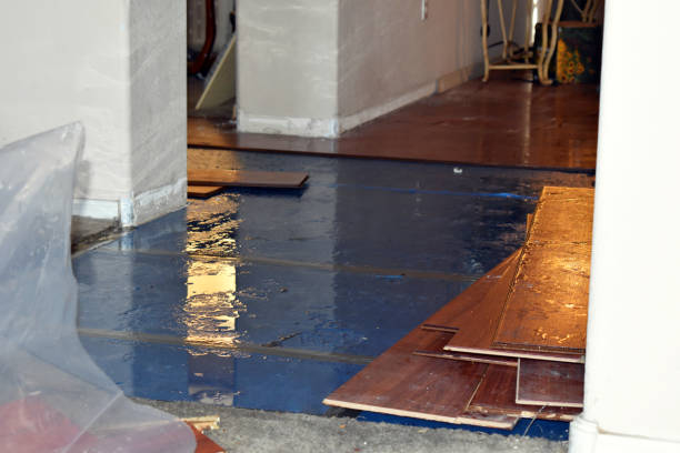 Professional Basement Flood Cleanup technician working in Lawton, MI